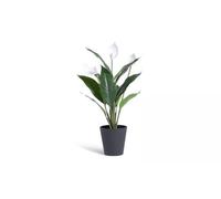 AIDNI White Artificial Peace Lily Plant Large Faux Flower Plant in Black Pot, Realistic Indoor Decorative Houseplant 51cm