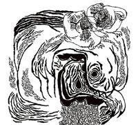 Aids Wolf vs Athletic Automaton - Clash Of The Life Force Warriors [VINYL]