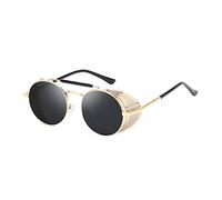 AidShunn Sunglasses Steampunk Mens Womens SteamPunk Sunglasses Ladies Lightweight Metal Frame Retro Round Goggle Travel Sunglasses
