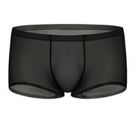 AIEOE Ice Silk Boxer Trunks for Men Stretch Sheer Ultra Thin Low Waist Boxer Short Transparent Mesh Breathable Underwear