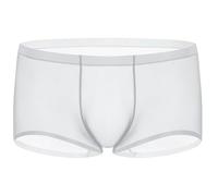 AIEOE Ice Silk Boxer Trunks for Men Stretch Sheer Ultra Thin Low Waist Boxer Short Transparent Mesh Breathable Underwear
