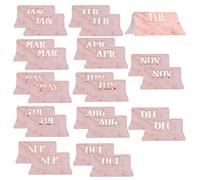 AIEX 24Pcs Monthly Tabs Calendar Stickers, Monthly Calendar Stickers Tabs Adhesive Index Tabs for Planners, Journal, Notebook, Agendas and Organizers, Office and Sturdy (Pink)