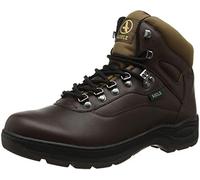 Aigle Picardie, Unisex Adults’ Safety Shoes, Brown (Marron 001), 5.5 UK (39 EU)