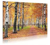 AIHNBF Autumn Birch Forest Canvas Wall Art Golden Woodland Path Landscape Print Tranquil Sunlit Nature Scene for Living Room Bedroom Office Decor Fall Season Tree Artwork 30x45 cm