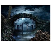 AIIKES 8x6FT Halloween Photography Backdrop Halloween Night Graveyard Backdrop Horror Dark Night Fence Iron Gate Skull Tree Background Tombstone Scene Background 12-342