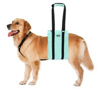 AIITLE Adjustable Anti-Slip Dog Lift Harness with Detachable Collar - Reflective Plush Dog Carrier Sling for Large Dogs, Rear Leg Support for Arthritis, Injury& Elderly Canines (Turquoise, L)