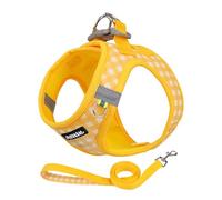 AIITLE Adjustable Dog Harness and Leash Set, Step in No Pull Pet Harness, Soft Mesh Reflective Plaid Vest Harnesses for Small Dogs Puppy and House Cats Outdoor Walking Running Yellow XS