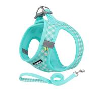 AIITLE Adjustable Dog Harness and Leash Set, Step in No Pull Pet Harness, Soft Mesh Reflective Plaid Vest Harnesses for Small Dogs Puppy and House Cats Outdoor Walking Running Turquoise XS