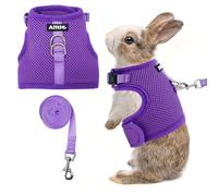 AIITLE Adjustable Rabbit and Leash Set - Lightweight & Portable, Padded Vest with Magic Tape Design, Indoor/Outdoor Use (Training, Hiking) - Fits Hamsters, Rats, Iguanas, Puppies, Cats, Purple M
