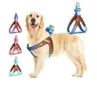 AIITLE Anti Pull Dog Harness - Soft Adjustable Reflective Padded Vest for Small Medium Large Dogs Choke Free for Walking, Running and Camping, Blue Gradient M