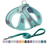 AIITLE Breathable No-Choke Harness for Medium Breeds - Reflective Leash Set with Hook-and-Loop Straps, Durable for Training, Jogging, Adventures Pure-Turquoise L