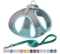 AIITLE Breathable No-Choke Harness for Medium Breeds - Reflective Leash Set with Hook-and-Loop Straps, Durable for Training, Jogging, Adventures Turquoise L