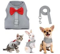 AIITLE Cat Harness and Leash Set with Cute Bow, Soft Breathable Mesh Vest Harness for Rabbits Kitten Ferret Puppy Small Pets Walking Supplies Grey S