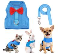 AIITLE Cat Harness and Leash Set with Cute Bow, Soft Breathable Mesh Vest Harness for Rabbits Kitten Ferret Puppy Small Pets Walking Supplies Blue L