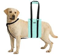 AIITLE Dog Carrier Sling for Large Dogs - Adjustable Anti-Slip Lift Harness with Detachable Reflective Collar, Mobility Aid for Hind Leg Support, Senior and Rehab (Turquoise, XL)