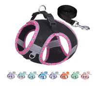 AIITLE Dog Harness and Leash Set, No Pull Step in Puppy Harness with Super Breathable Mesh, Adjustable Reflective Puppy Essentials for Outdoor Walking, Training for Small Dogs, Cats Black XS