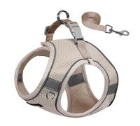 AIITLE Dog Harness and Leash Set, No Pull Step in Puppy Harness with Super Breathable Mesh, Reflective Puppy Essentials for Outdoor Walking, Training for Small Dogs, Cats Beige XS