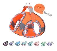 AIITLE Dog Harness and Leash Set - Ultra-Comfortable XXS-XL Vest with Strong Magic Tape & Glow-in-Dark Reflective Strips, Chafe-Free for Teddy, Schnauzer (Orange, M)
