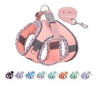 AIITLE Dog Harness and Leash Set - Ultra-Comfortable XXS-XL Vest with Strong Magic Tape & Glow-in-Dark Reflective Strips, Chafe-Free for Teddy, Schnauzer (Pink, M)