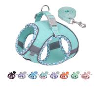 AIITLE Dog Harness and Leash Set - Ultra-Comfortable XXS-XL Vest with Strong Magic Tape & Glow-in-Dark Reflective Strips, Chafe-Free for Teddy, Schnauzer (Turquoise, M)