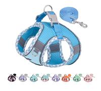 AIITLE Dog Harness and Leash Set - Ultra-Comfortable XXS-XL Vest with Strong Magic Tape & Glow-in-Dark Reflective Strips, Chafe-Free for Teddy, Schnauzer (Blue, M)