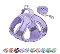 AIITLE Dog Harness and Leash Set - Ultra-Comfortable XXS-XL Vest with Strong Magic Tape & Glow-in-Dark Reflective Strips, Chafe-Free for Teddy, Schnauzer (Purple, M)
