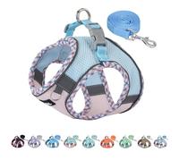 AIITLE Dog Harness and Leash Set - Ultra-Comfortable XXS-XL Vest with Strong Magic Tape & Glow-in-Dark Reflective Strips, Chafe-Free for Teddy, Schnauzer (Blue-Pink, M)
