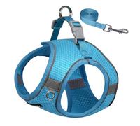 AIITLE Dog Harness No Choke Over, Step in Adjustable Dog Harness with a Leash, Breathable Mesh and Quick-Release Buckle - Outdoor Walking, Training, Running for Medium Dogs Blue L