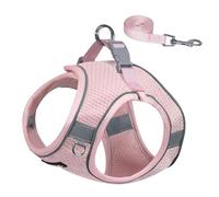 AIITLE Dog Harness No Choke Over, Step in Adjustable Dog Harness with a Leash, Breathable Mesh and Quick-Release Buckle - Outdoor Walking, Training, Running for Medium Dogs Pink L