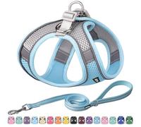 AIITLE Dog Harness, No-Pull Cat Harness with a Leash, Adjustable Reflective Dog Vest, Cat Harness Escape Proof, Outdoor Walking, Running,Training for Extra Small Dogs and House Cats Blue XXXS