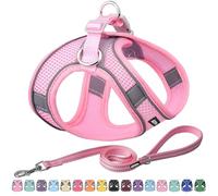 AIITLE Dog Harness, No-Pull Cat Harness with a Leash, Adjustable Reflective Dog Vest, Cat Harness Escape Proof, Outdoor Walking, Running,Training for Extra Small Dogs and House Cats Pure Pink XXXS