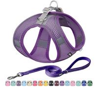 AIITLE Dog Harness, No-Pull Cat Harness with a Leash, Adjustable Reflective Dog Vest, Cat Harness Escape Proof, Outdoor Walking, Running,Training for Extra Small Dogs and House Cats Pure Purple XXXS