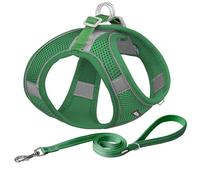 AIITLE Dog Harness, No-Pull Cat Harness with a Leash, Adjustable Reflective Dog Vest, Cat Harness Escape Proof, Outdoor Walking, Running,Training for Extra Small Dogs and House Cats Green XXXS