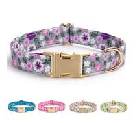 AIITLE Durable Dog Collar for Medium Large Dogs， Adjustable Metal Buckle Collar with Vibrant Printed Pattern， Cute Spring Summer Design for Active Boy Girl Dogs Outdoor, Purple M