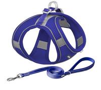 AIITLE Escape Proof Dog Harness - Step in Adjustable Dog Harness No Choke Over with Breathable Mesh and Quick-Release Buckle for All Weather- Outdoor Walking, Training for Medium Dogs Royal Blue XL