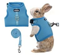 AIITLE Lightweight Escape Bunny Harness and Leash Set - Air Mesh Vest with Double D-Rings, Adjustable & Magic Tape Design, for Ferret/Cat/Puppy Training and Hiking Adventures, Blue L