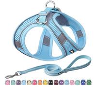 AIITLE No Pull Dog Harness and Leash Set, Step in Adjustable Dog Harness with Padded Vest for All Weather, Dog Leash with Soft Padded Handle, Easy to Put on Small and Medium Dogs Pure Blue S