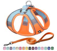 AIITLE No Pull Dog Harness and Leash Set, Step in Adjustable Dog Harness with Padded Vest for All Weather, Dog Leash with Soft Padded Handle, Easy to Put on Small and Medium Dogs Orange S