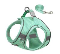 AIITLE No Pull Dog Harness and Leash Set, Step in Adjustable Dog Harness with Padded Vest for All Weather, Reflective Pet Harness, Easy to Put on Small Dogs Turquoise S