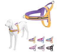 AIITLE No Pull Dog Harness with Soft Padded Handle, Reflective Strip Escape Proof/Quick Fit to Adjust Puppy Harnesses, Easy for Training Walking Running for Extra Small Dogs Yellow-Purple XXS