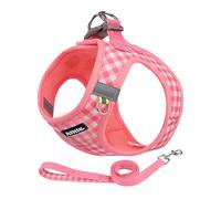 AIITLE No-Pull Pet Harness with a Leash, Plaid Comfort Padded Vest, Step in Dog Harness, Reflective Bands, Soft Breathable Pet Supplies, for Small and Medium Dogs and Cats Watermelon S