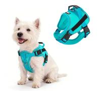 AIITLE No Pull Reflective Dog Harness with Handle - Soft Comfortable All Weather Mesh Breathable Adjustable Puppy Harness for Small Medium Dogs, Easy Control for Walking Running Camping (Green，M