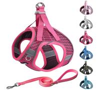 AIITLE Puppy Harness for Small Dogs - Lightweight Air Mesh Puppy Harness - Step in Dog Harness with A Leash - No Pull & No Choke Padded Vest- Reflective Dog Harness for Small Dogs Cats Hot Pink XXS