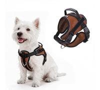 AIITLE Reflective Dog Harness with Handle Soft Comfortable All-Weather Mesh Breathable Adjustable Puppy Harness for Small Medium Dogs (Brown, XS)