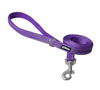 AIITLE Reflective Dog Leash for Small Medium Dogs 5ft, Heavy Duty Nylon Padded Handle Leash for Walking Training & Running, No-Pull Comfort Grip for Puppy & Small Medium Breed - Purple