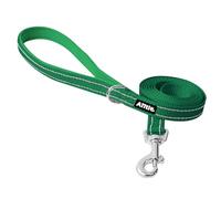 AIITLE Reflective Dog Leash for Small Medium Dogs 5ft, Heavy Duty Nylon Padded Handle Leash for Walking Training & Running, No-Pull Comfort Grip for Puppy & Small Medium Breed - Green