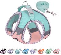 AIITLE Small Dog Harness, No-Pull Cat Harness with a Leash, Step in Adjustable Dog Harness, Reflective Outdoor Pet Vest for Extra Small Dogs and House Cats Turquoise-Pink XXS