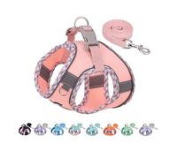 AIITLE Small Dog Harness, No-Pull Cat Harness with a Leash, Step in Adjustable Dog Harness with Quick-Release Buckle, Reflective Outdoor Pet Vest for Extra Small Dogs and House Cats Pink XXS