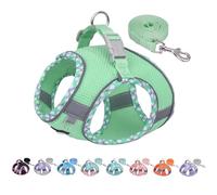 AIITLE Small Dog Harness, No-Pull Cat Harness with a Leash, Step in Adjustable Dog Harness with Quick-Release Buckle, Reflective Outdoor Pet Vest for Extra Small Dogs and House Cats Sage XXS