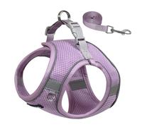 AIITLE Small Dog Harness, No-Pull Cat Harness with a Leash, Step in Adjustable Puppy Harness with Quick-Release Buckle, Reflective Outdoor Pet Vest for Extra Small Dogs and House Cats Purple XXS